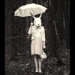 shed (feat. taymxru) (Explicit)