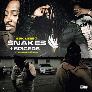 Snakes & Spicers (feat. DayDeez, 23peezy) (Explicit)