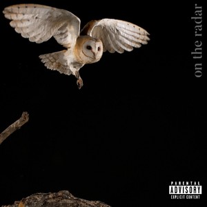 on the radar (Explicit)