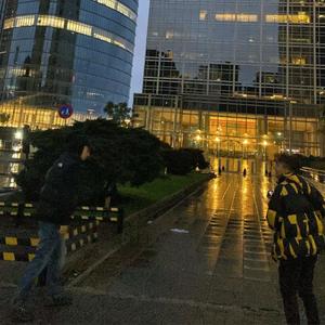 location / p.bruno (feat. ivory loops) (Explicit)