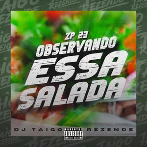 OBSERVANDO ESSA SALADA (BEAT FINO) [Explicit]