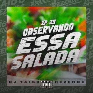 OBSERVANDO ESSA SALADA (BEAT FINO) (Explicit)