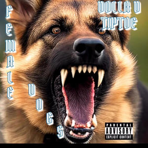 female dogs! (feat. TipToe) (Explicit)