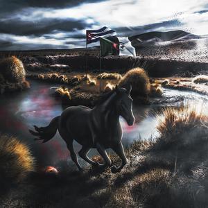 Che Guevara (Explicit)