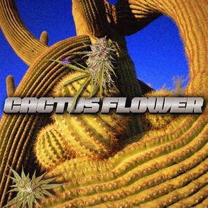 CACTUS FLOWER