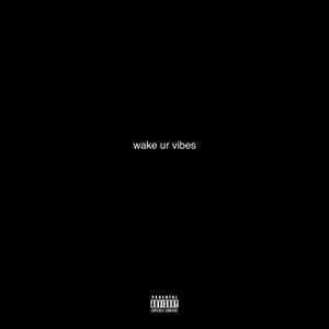 wake ur vibes (Explicit)