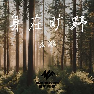 身在旷野封面