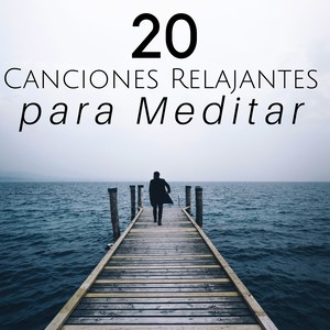 20 Canciones Relajantes para Meditar - Musica Relajante para la Limpieza de los 7 Chakras