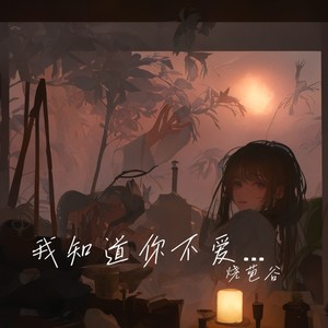 我知道你不爱我封面