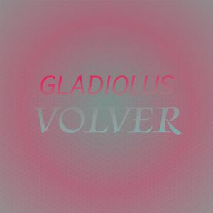 Gladiolus Volver