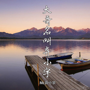 大哥名叫弃小宇