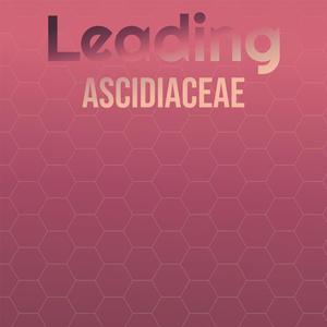 Leading Ascidiaceae