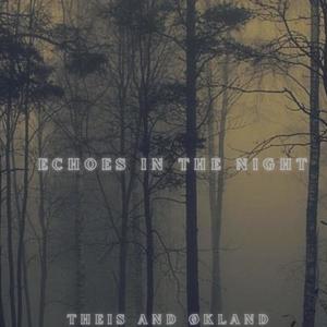 Echoes In The Night (feat. Joakim Theis & Sten Erik Økland)