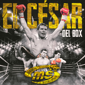 El César del Box