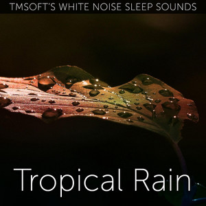 Tropical Rain Sound