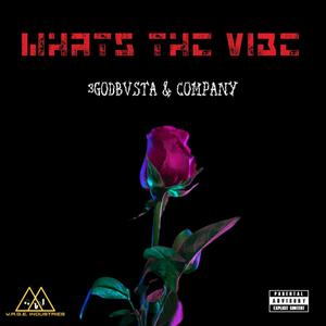 What's The Vibe (Explicit)