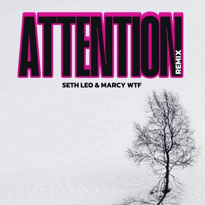 Attention (Remix)