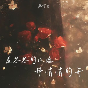 羞答答的玫瑰静悄悄的开