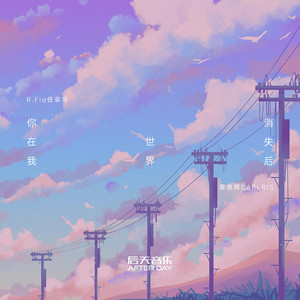 你在我世界消失后
