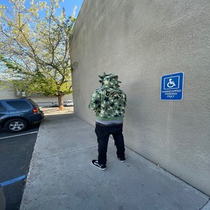 LedZeddedln (Explicit)