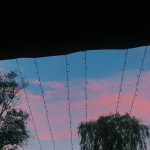 SAMA (prod by August Wu)