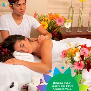 Relaxing Indian Luxury Spa Tunes Ambience, Vol. 5