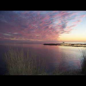 Until the Kids Come Home(feat. David Liester- Bass, Vocal, Tim Mcconaughy-Guitar,vocal, Tim Overdorff- Dumbeck,vocal, Steve Piccari-Drums, Jack Piccari-Piano,Organ & Will Hodgson-Lead Guitar,slide Guitar)