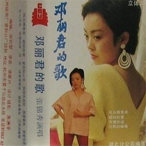 愿你来看我封面