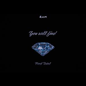 You Will Find (Explicit)