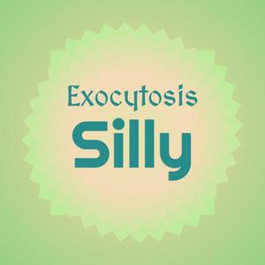 Exocytosis Silly