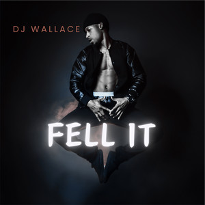 Fell It (Remix) [Explicit]