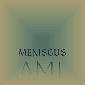 Meniscus Aml