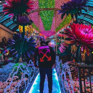 Eyeland (feat. Wholelottabenji$) (Explicit)