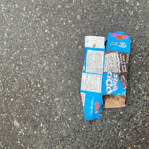 poptart freestyle(feat. chris the gote & lilvrkock)