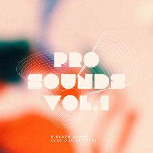 Pro Sound Vol.1