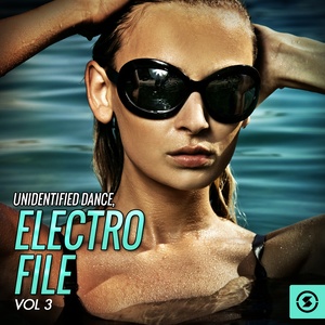 Unidentified Dance: Electro File, Vol. 3