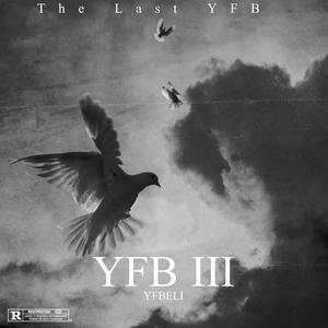 YFB 3 (Explicit)