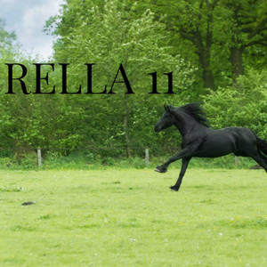 Rella 11