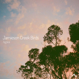 Jamieson Creek Birds