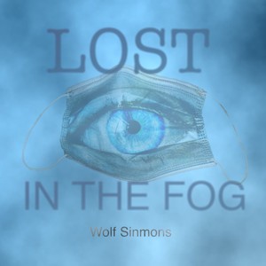 Lost In The Fog