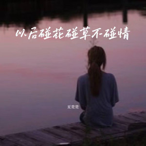 夏楚楚 - 以后碰花碰草不碰情