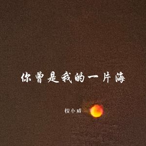 坏女孩-权小威