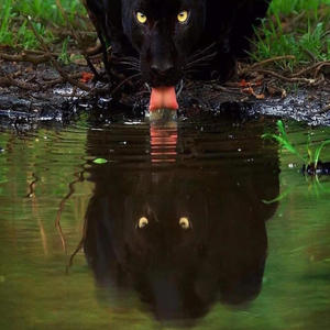 Speaking in Silence (Explicit)