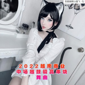 2022越南商业中场越鼓极品串烧舞曲 (串烧版)