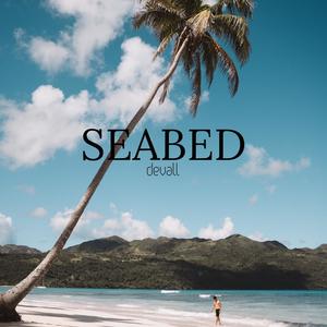 Seabed