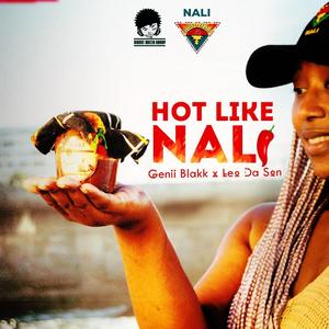 Hot Like Nali (feat. Leo Da Son) (Explicit)