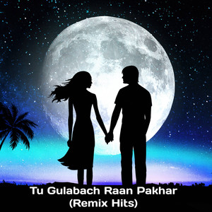 Tu Gulabach Raan Pakhara Hits