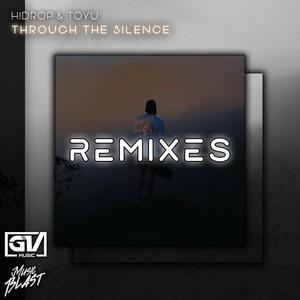 Through The Silence(feat. Toyu) (SRJY Remix)