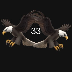 33 (BLUE MASONS)