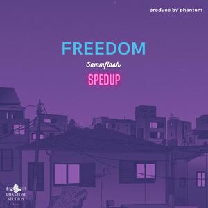 Freedom (SPEDUP )